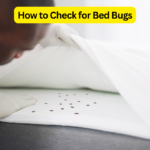 How to Check for Bed Bugs: Expert Comprehensive Guide