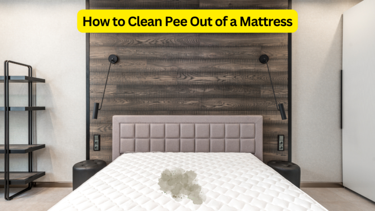 How to Clean Pee Out of a Mattress