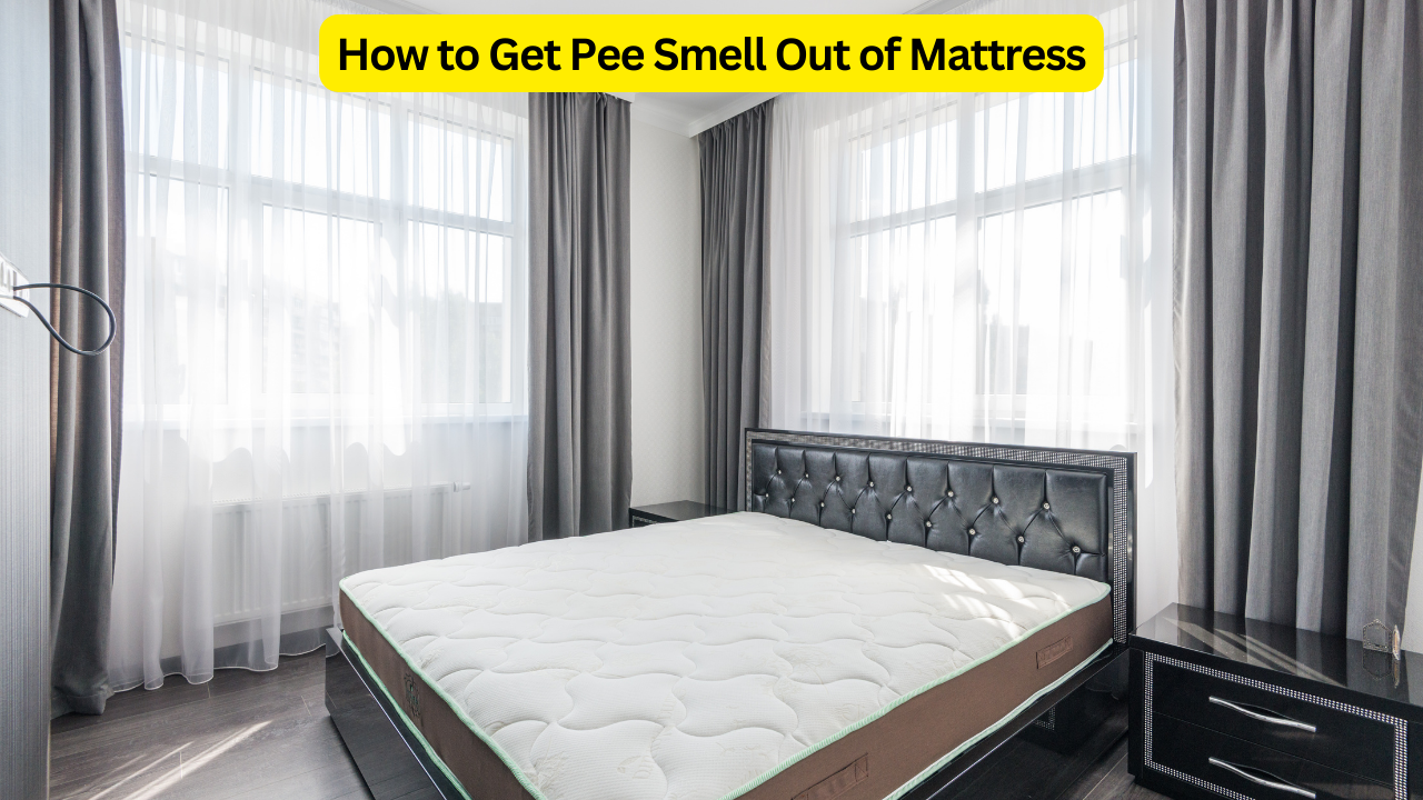 How to Get Pee Smell Out of Mattress