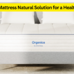 Organica Mattress: The Natural Solution for a Healthier Sleep