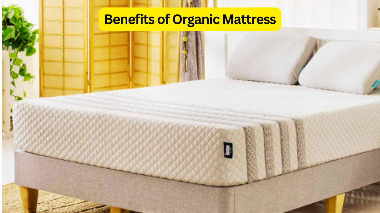 Organic Mattress: An Eco-Friendly Sleep Solution