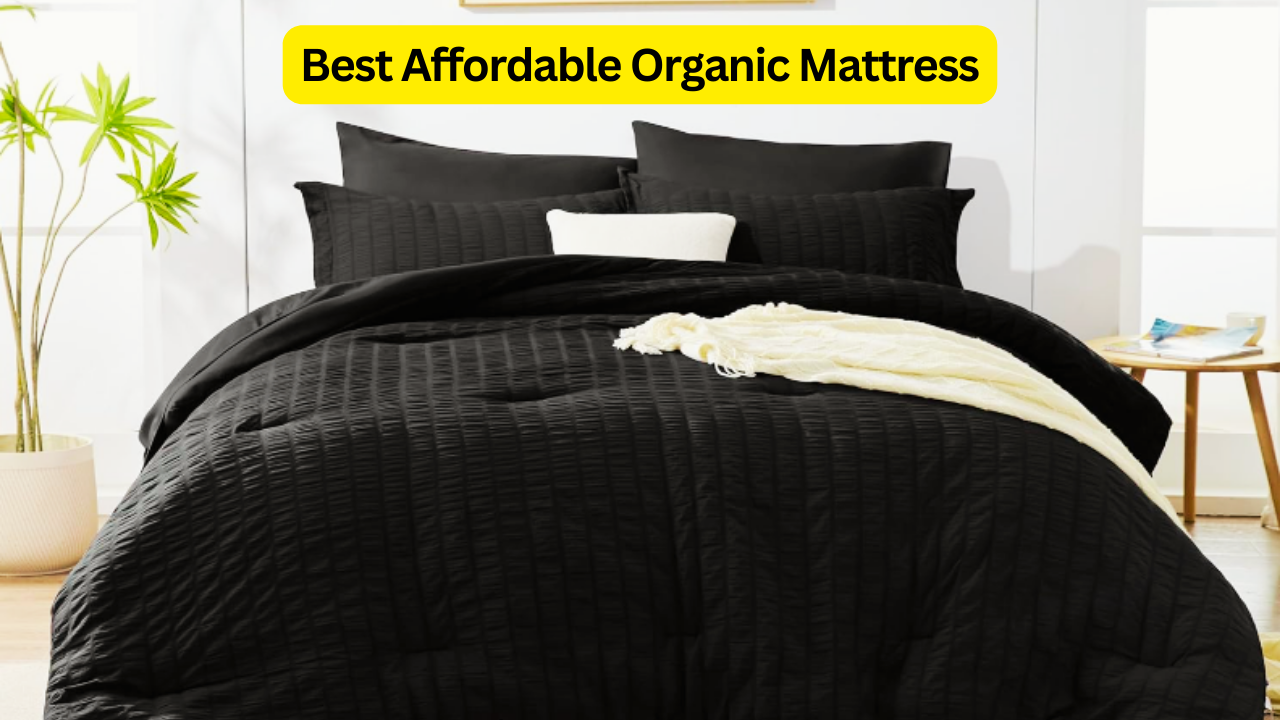 Best Affordable Organic Mattress: Top 10 Picks, Features, Pros and Cons