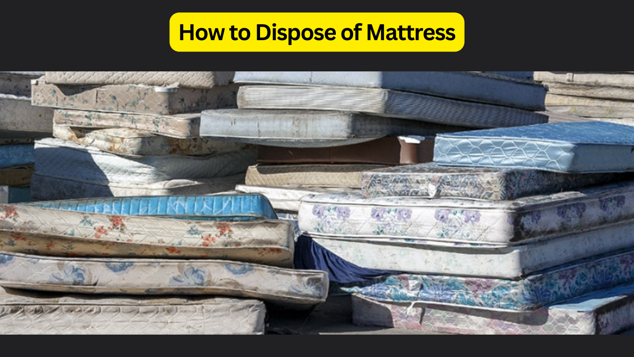 How to Dispose of Mattress: 10 Best Methods for a Clean and Green Solution