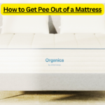 How to Get Pee Out of a Mattress