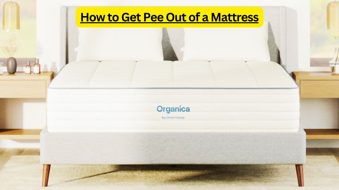 How to Get Pee Out of a Mattress