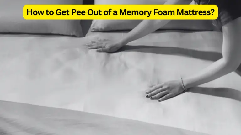 How to Get Pee Out of a Memory Foam Mattress