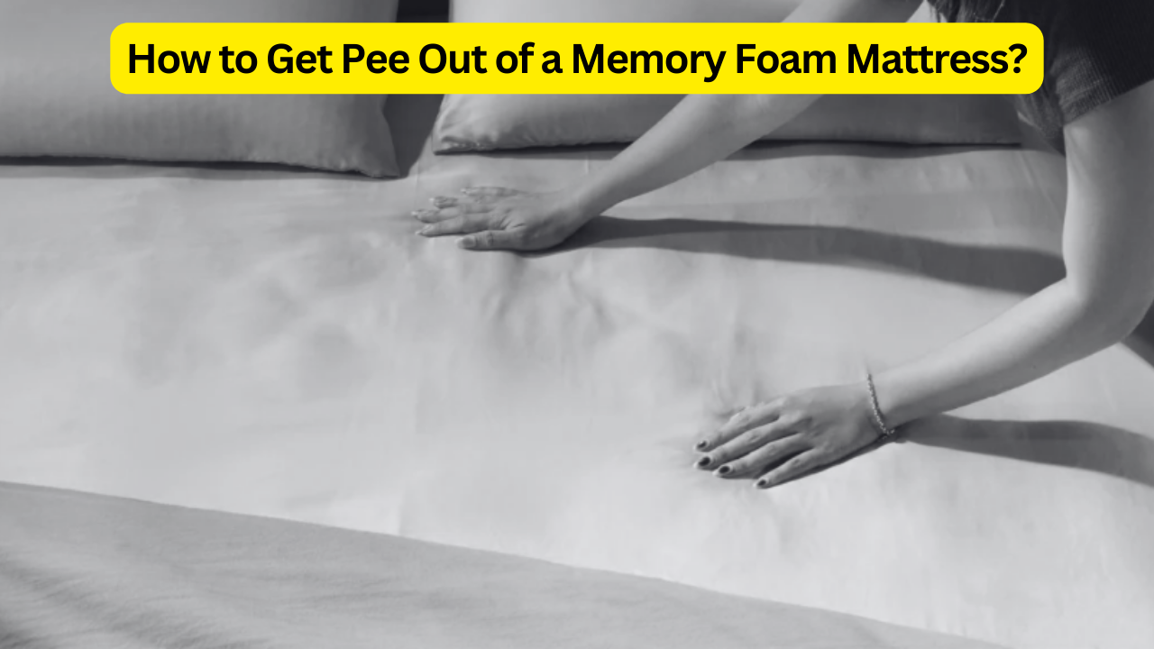 How to Get Pee Out of a Memory Foam Mattress?