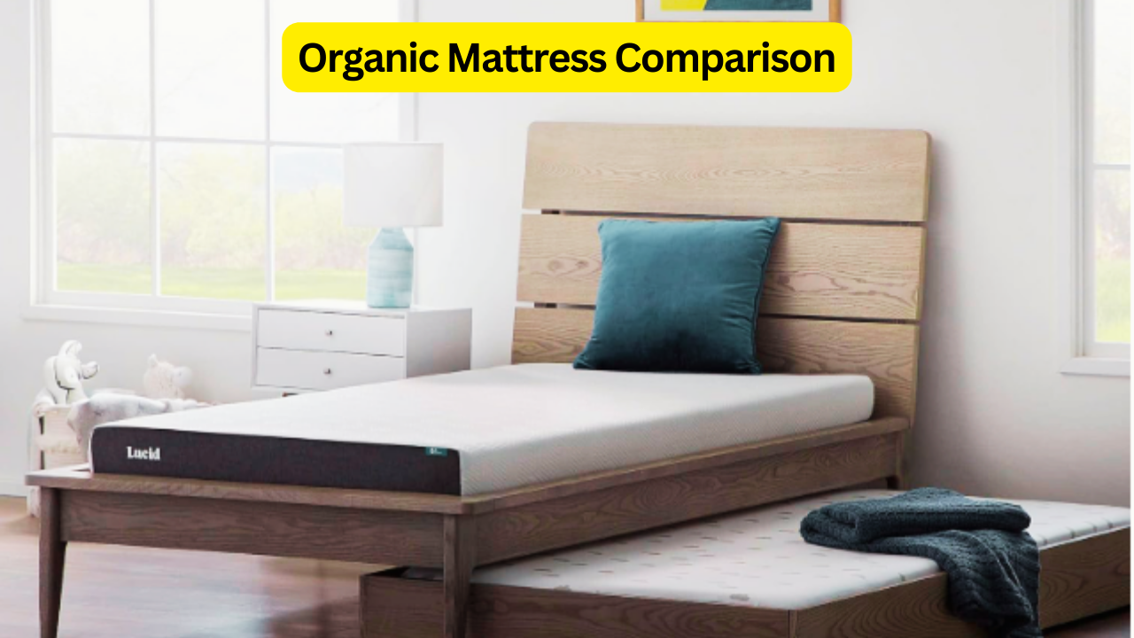 Organic Mattress Comparison