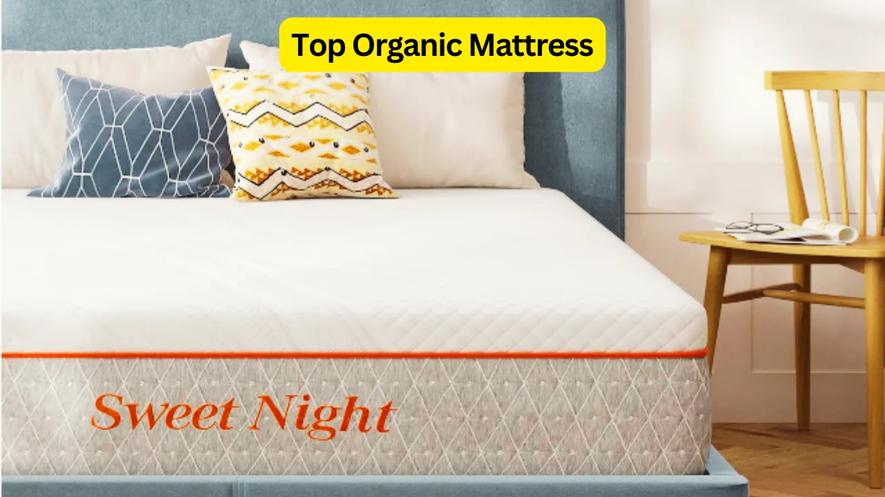 Discovering the Top Organic Mattress for a Healthier Sleep 1 Top Organic Mattress