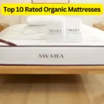 Top Rated Organic Mattresses