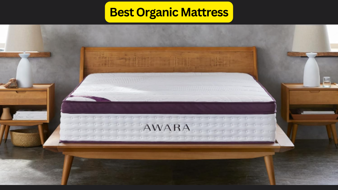 Best Organic Mattress